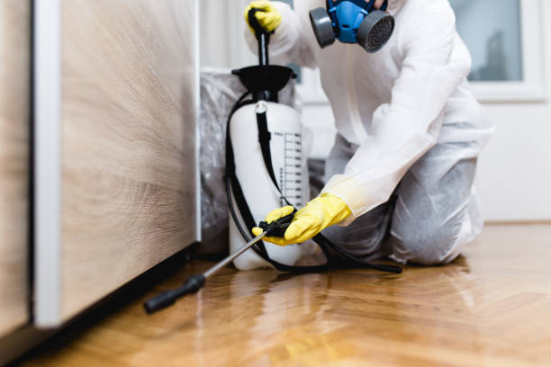 Best Pest Inspection Near Me  in Arvada, CO