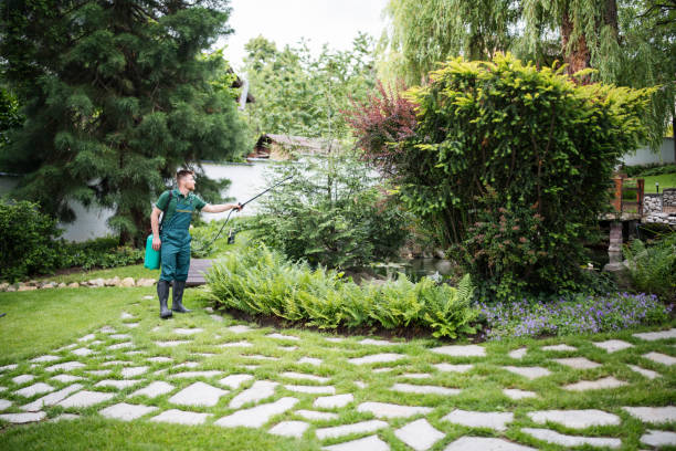 Best Termite Control Services  in Arvada, CO