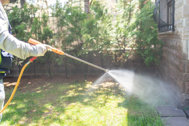 Professional Pest Control in Arvada, CO