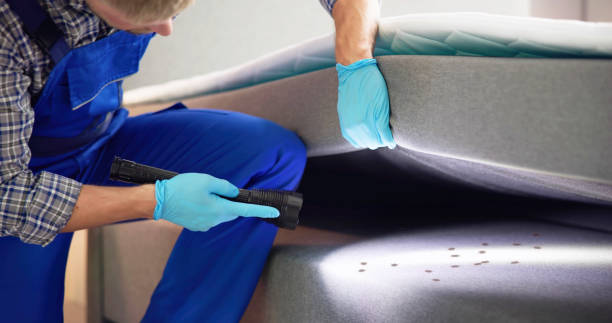 Best Pest Control Near Me  in Arvada, CO