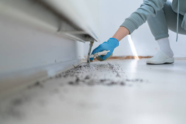 Pest Control Cost in Arvada, CO